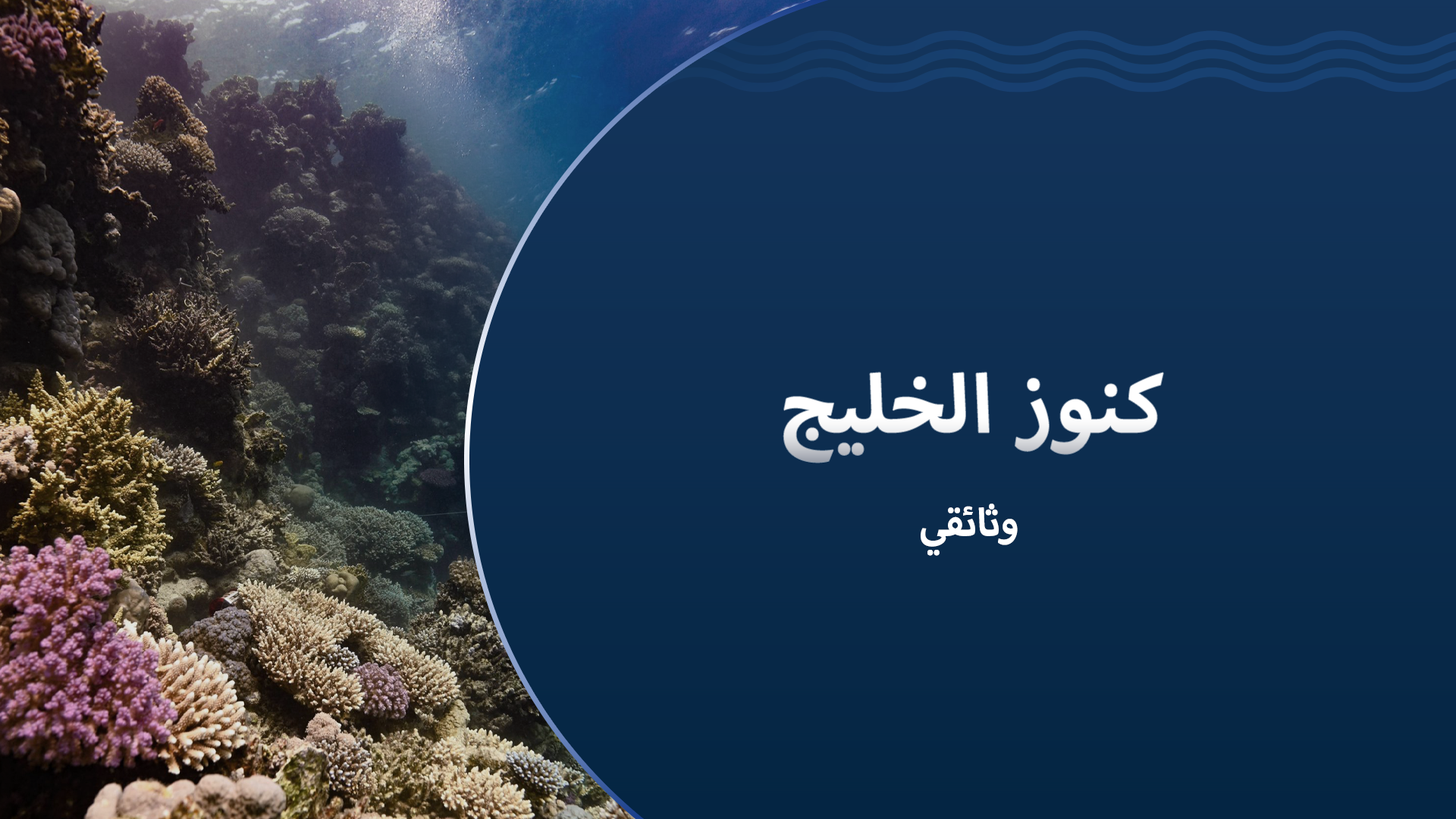 كنوز الخليج